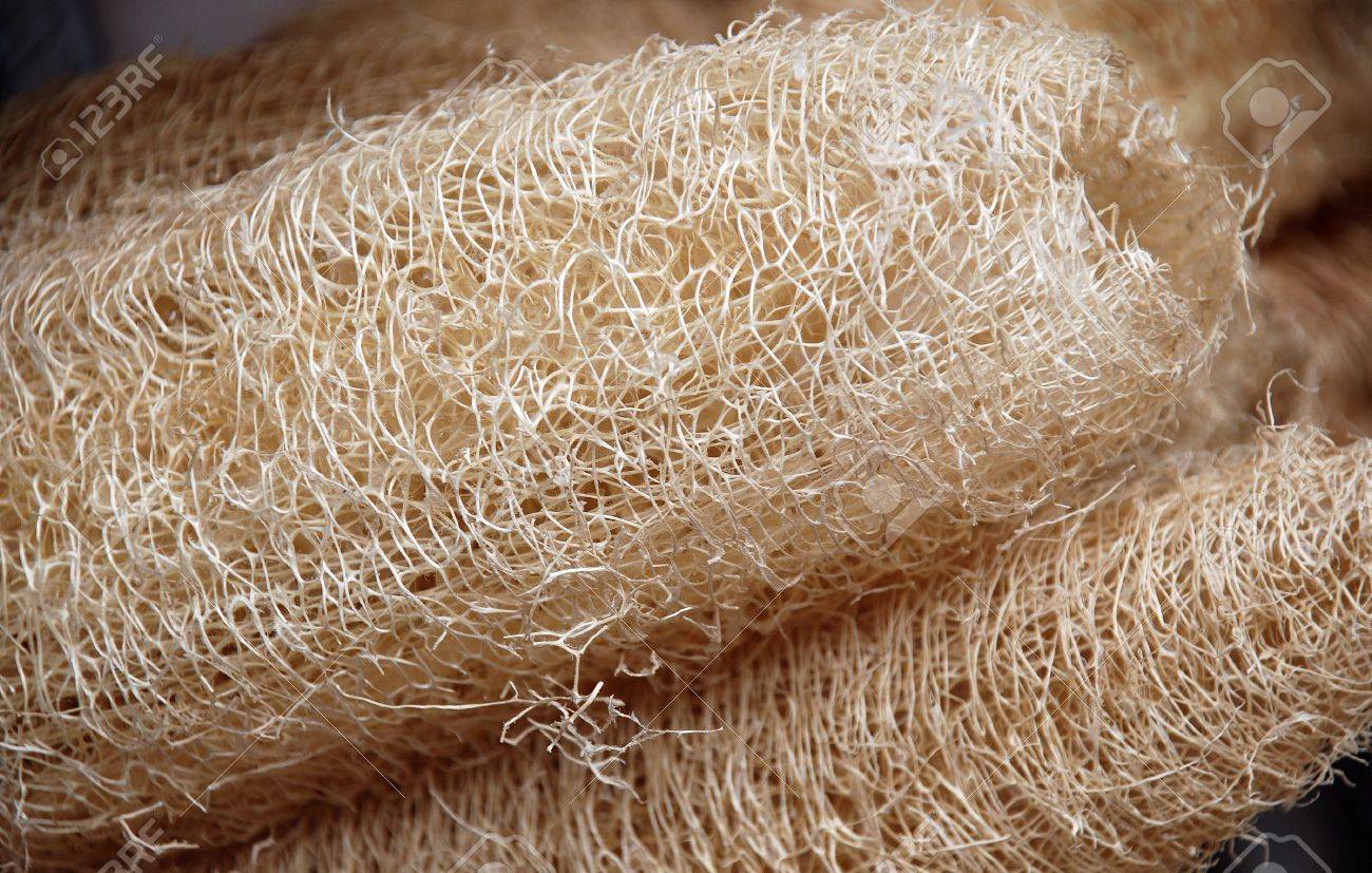 Benefits of Using a Raw Loofah Sponge Daily