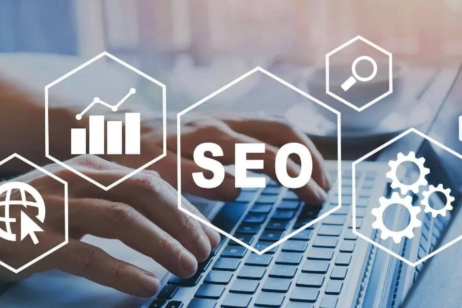Seo Consultant